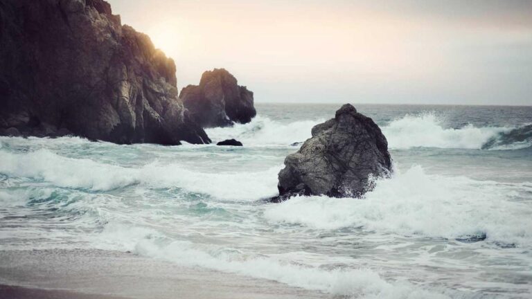 What Is The Purpose Of A 99Exch Transaction Id?